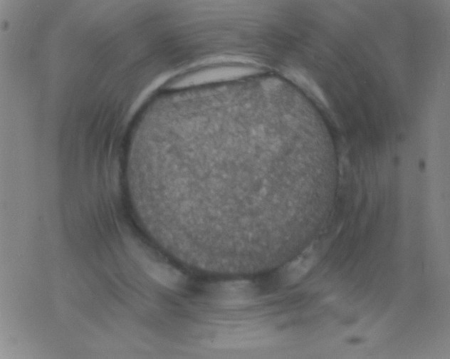 X0000075810108200610061742