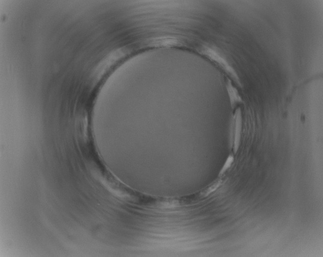 X0000075810110200610061742