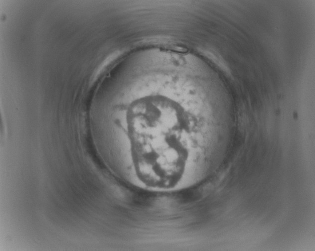 X0000075810111200610061741