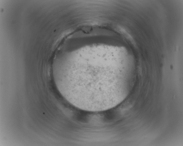 X0000075810115200610061741