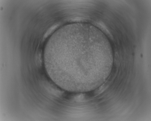 X0000075810116200610061741