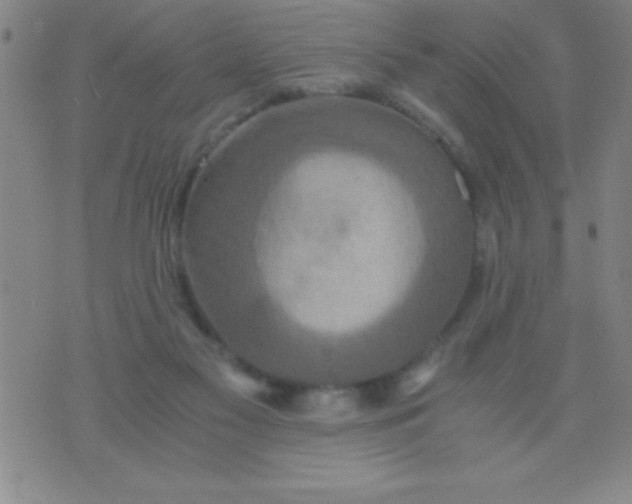 X0000075810117200610061741