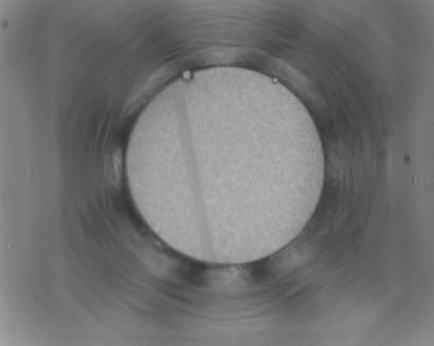 X0000075810118200610061741