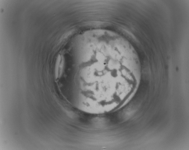 X0000075810119200610061741