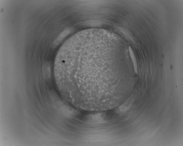 X0000075810120200610061741