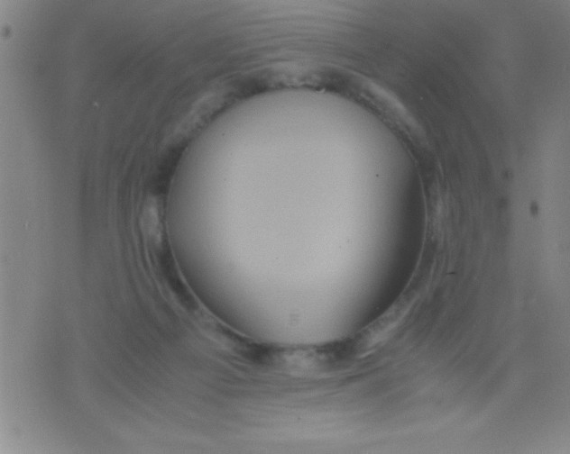 X0000075810121200610061741