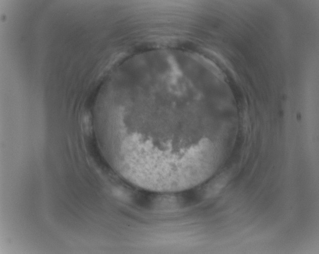 X0000075810123200610061741