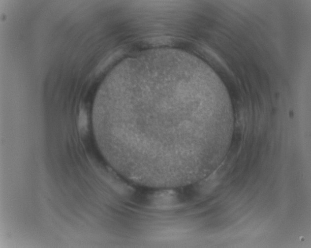 X0000075810124200610061741