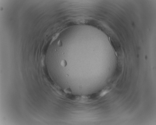 X0000075810125200610061741