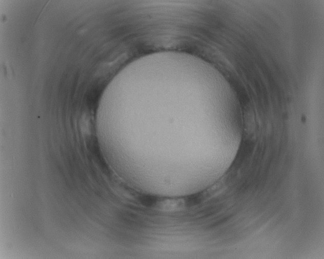 X0000075810126200610061741