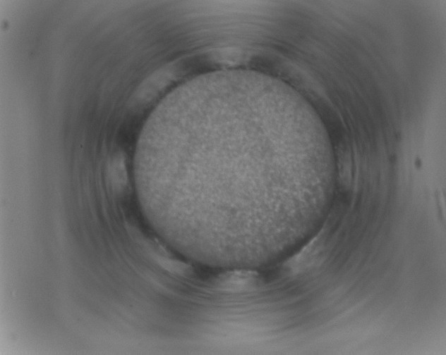 X0000075810128200610061741