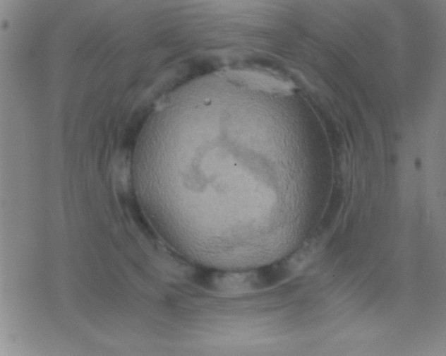 X0000075810129200610061741