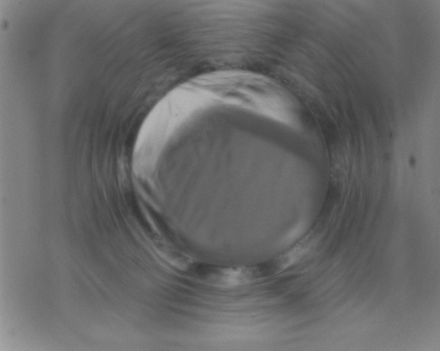 X0000075810130200610061741