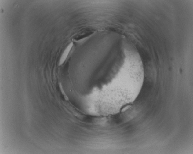 X0000075810131200610061741