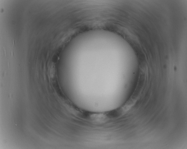 X0000075810133200610061741