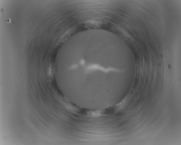 X0000075810134200610061741