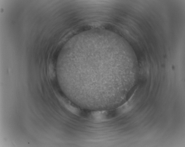 X0000075810136200610061741