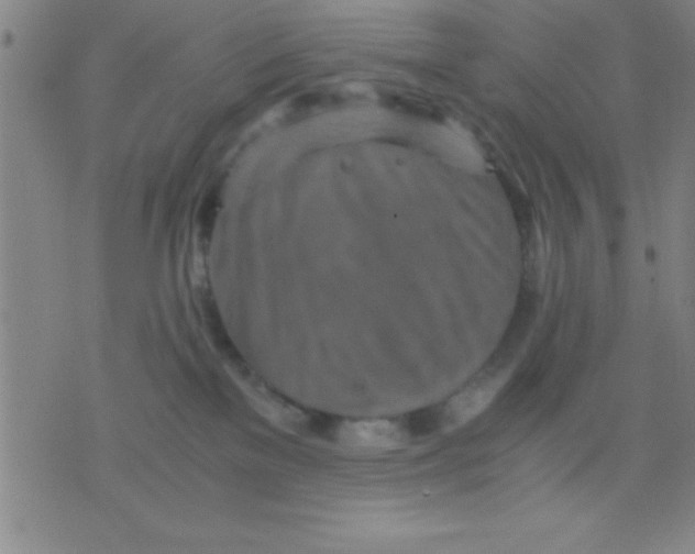 X0000075810137200610061741