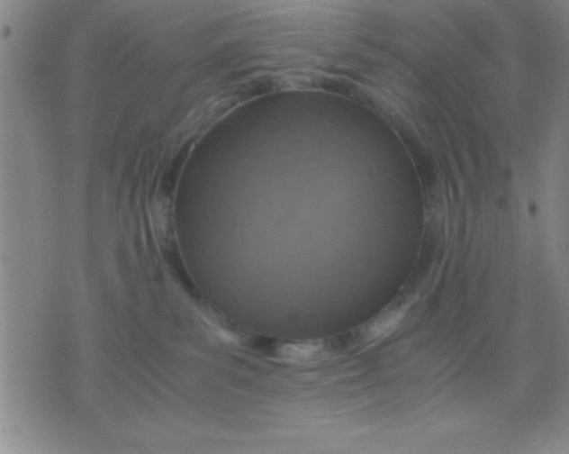 X0000075810139200610061741