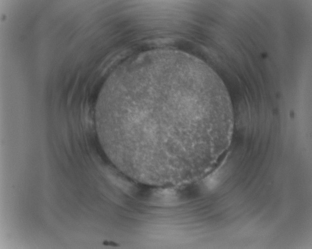 X0000075810140200610061741