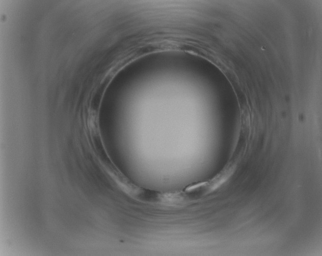 X0000075810141200610061741