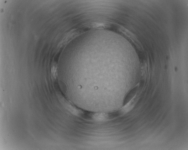 X0000075810142200610061741