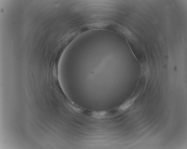 X0000075810143200610061741