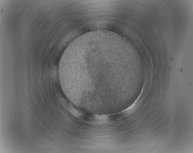 X0000075810144200610061741