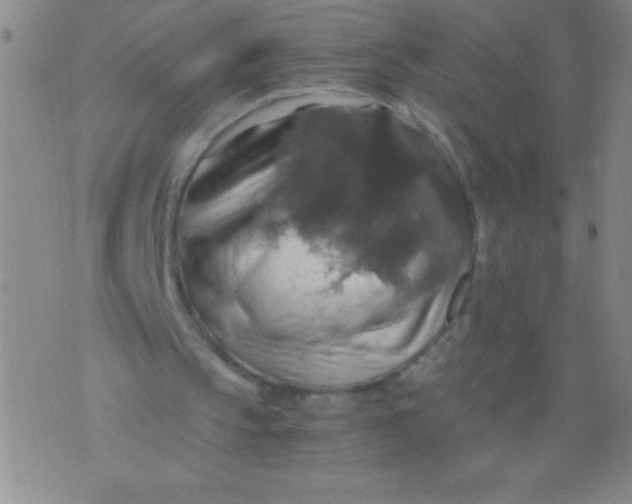 X0000075810145200610061740