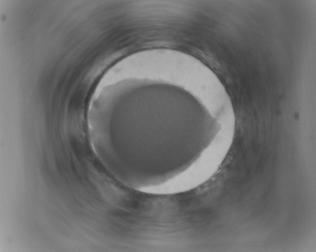 X0000075810146200610061740