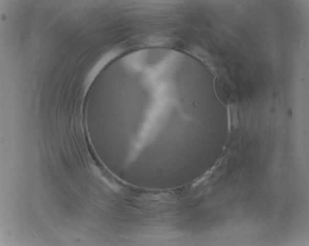 X0000075810147200610061740