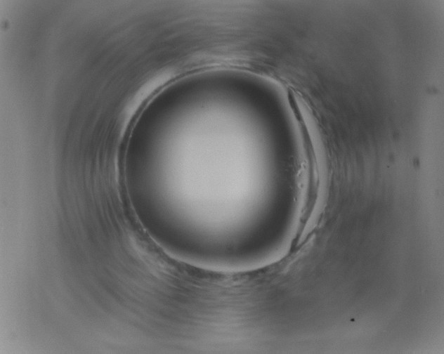 X0000075810148200610061740