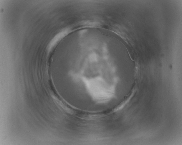 X0000075810149200610061740