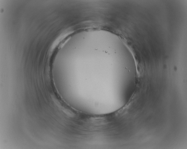 X0000075810150200610061740