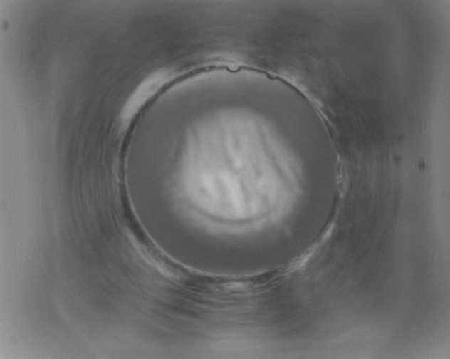 X0000075810151200610061740