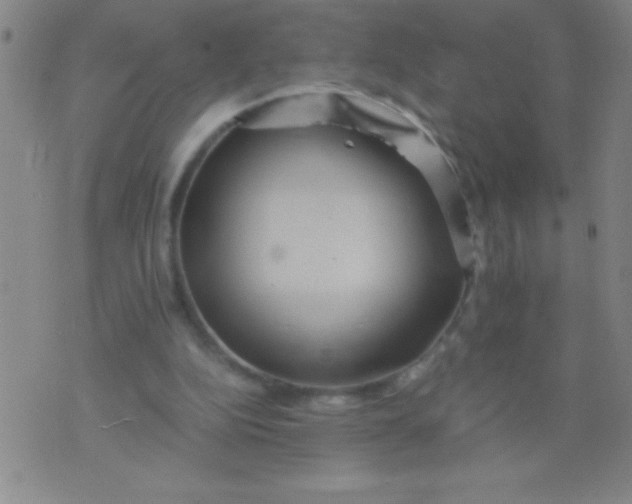 X0000075810152200610061740