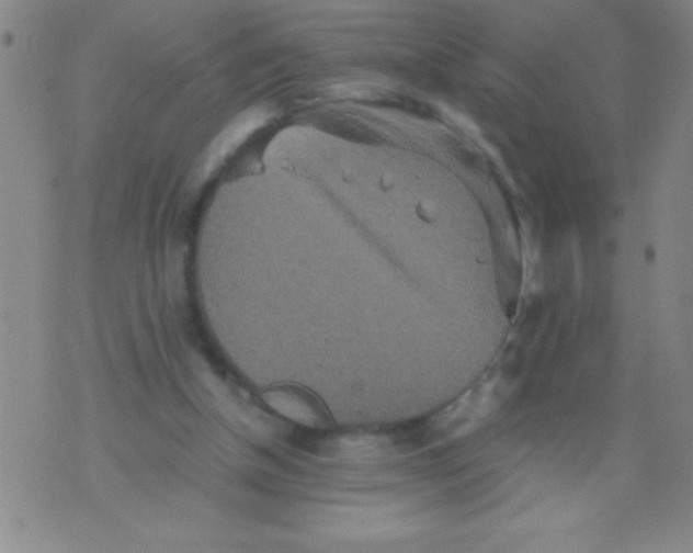 X0000075810154200610061740