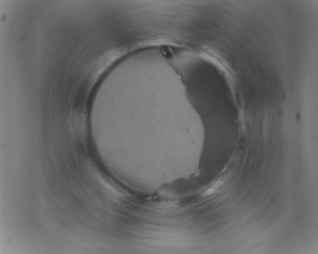 X0000075810156200610061740