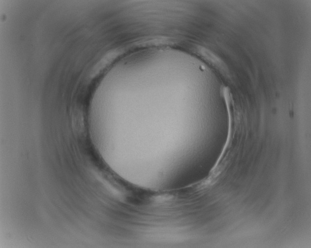 X0000075810158200610061740