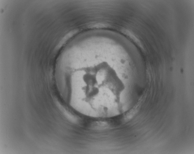 X0000075810159200610061740