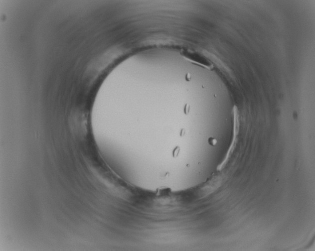 X0000075810160200610061740