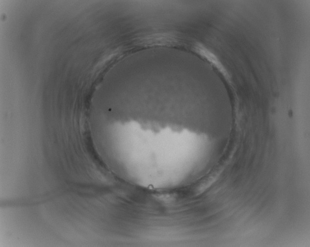 X0000075810161200610061740