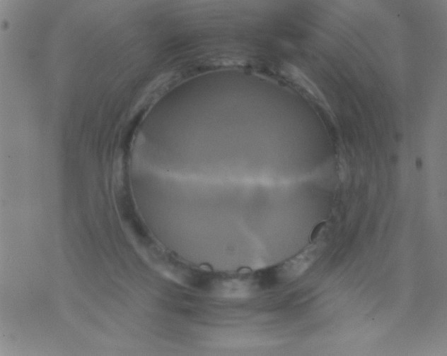 X0000075810163200610061740