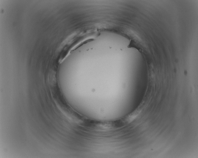 X0000075810164200610061740