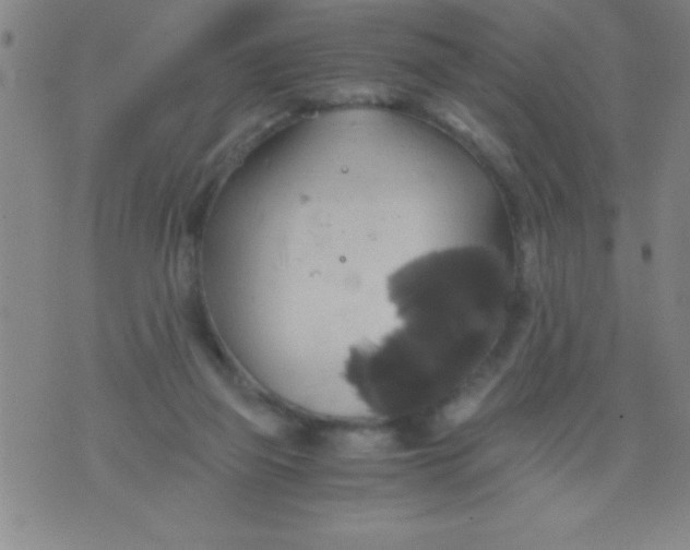 X0000075810165200610061740