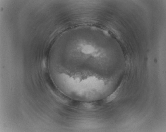 X0000075810166200610061741