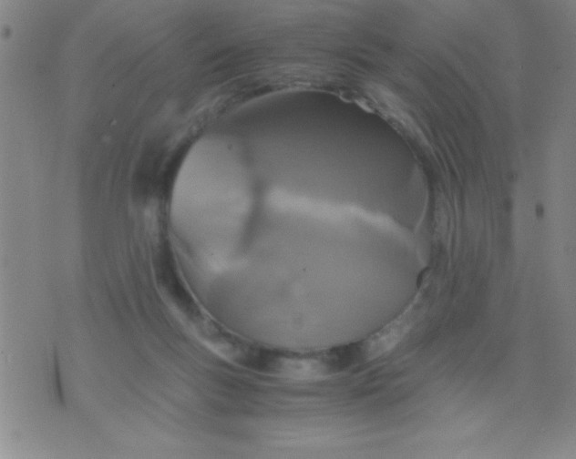 X0000075810167200610061741