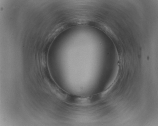 X0000075810170200610061741