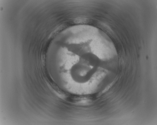 X0000075810171200610061741