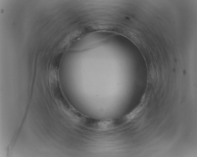 X0000075810172200610061741